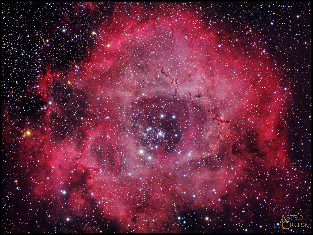 Rosette Nebula